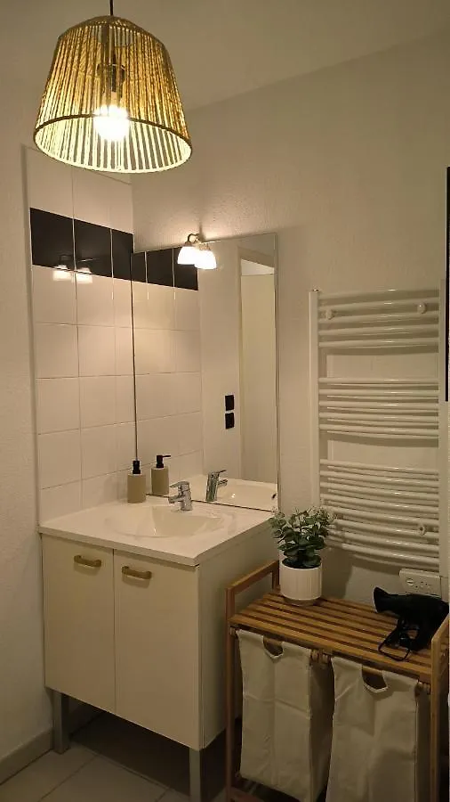 Good Vibes In Charming T2 Apartment With Balcony Blagnac France