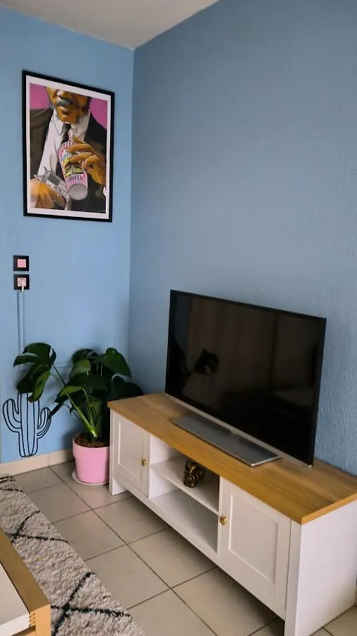 Good Vibes In Charming T2 Apartment With Balcony Blagnac 0*,  France