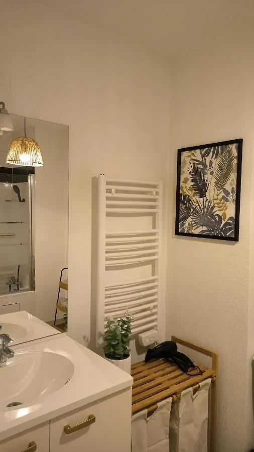 Good Vibes In Charming T2 Apartment With Balcony Blagnac
